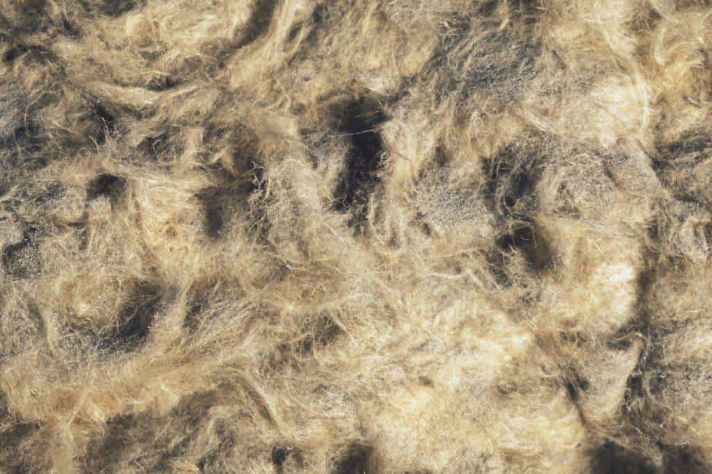 The History of Asbestos